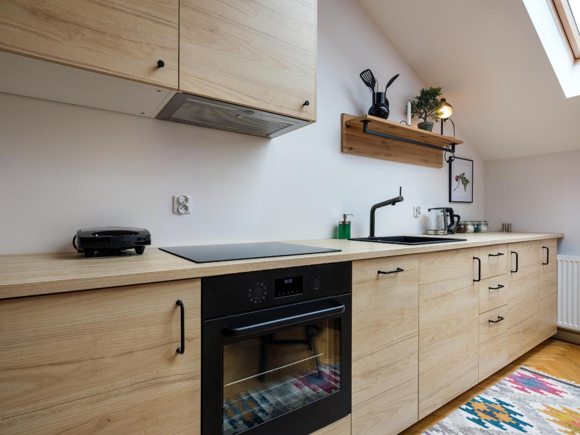 Tyzenhauz Apartments Siemiradzkiego Street Kraków Eksteriør billede